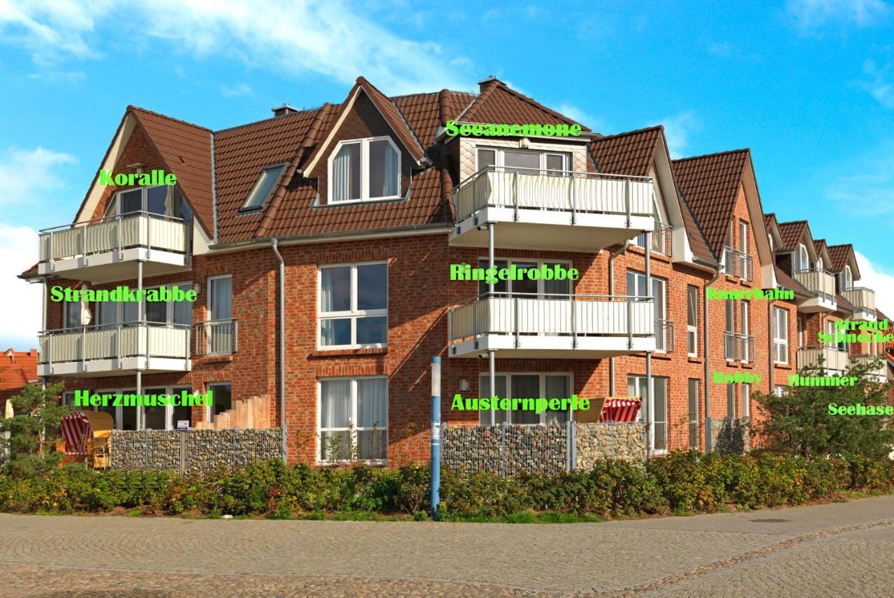 Haus Suedwester Hummer Insel Poel Exterior foto